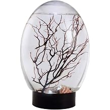 Desktop Aquarium, Mini Aquarium Fish Tank Ecosphere Closed Aquatic Ecosystem with LED Light Desktop Stable Black Base No Need to Feed or Change Water