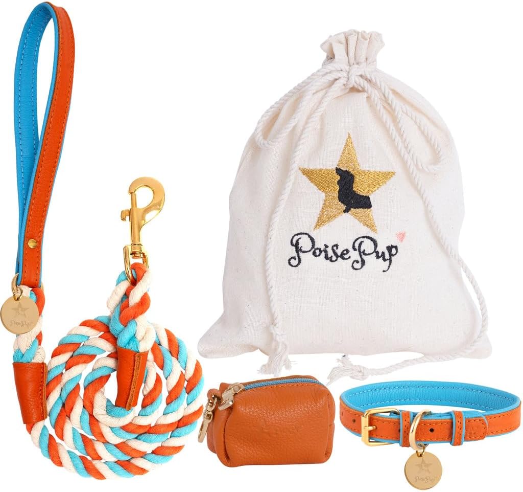 POISEPUP Genuine Leather Collar with Buckle for Dogs - Handmade, Adjustable & Soft - Orange | Blue - XSmall (7.1-9.5 in)