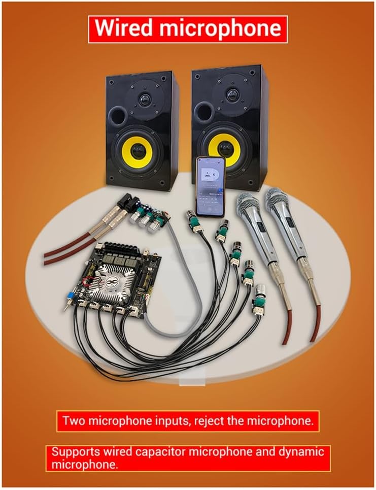 Wired microphone setup with amplifier board and speakers