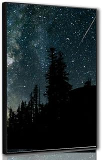 Perseid Meteor Shower Black Framed Canvas Wall Art for Bedroom Living Room Kitchen Bathroom Posters Prints Pictures Wall Decor Painting Artwork 16x24