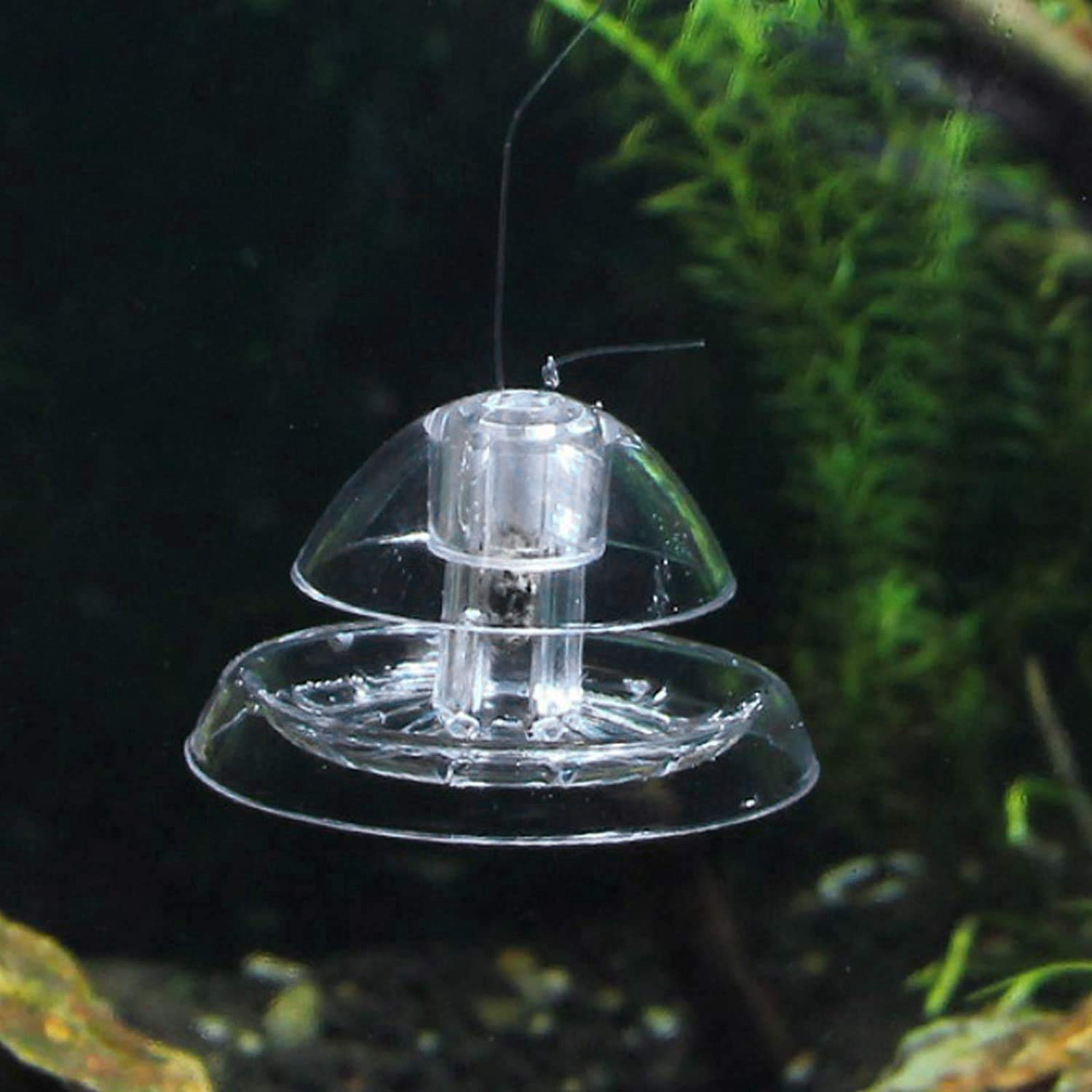 2 Pezzi Trappola per Lumache per Acquario Acquario Plastica Trasparente Trappola per Lumache Acquario Piante Planarian Sanguisuga Catcher 6 Cm