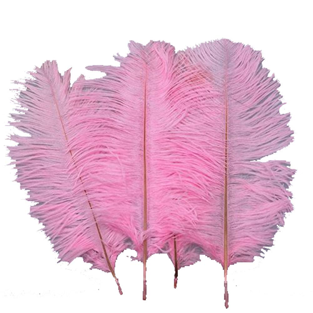 Plumes d'autruche naturelles roses de qualité supérieure pour vase