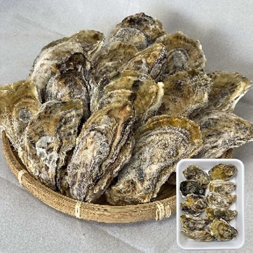 ⓀEɁI OdY kty Mp Ⓚ QO