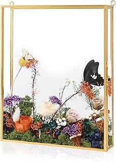 Shadow Box Frame 8x10, Deep Glass Flowers Shadow Box Display Case Vintag...