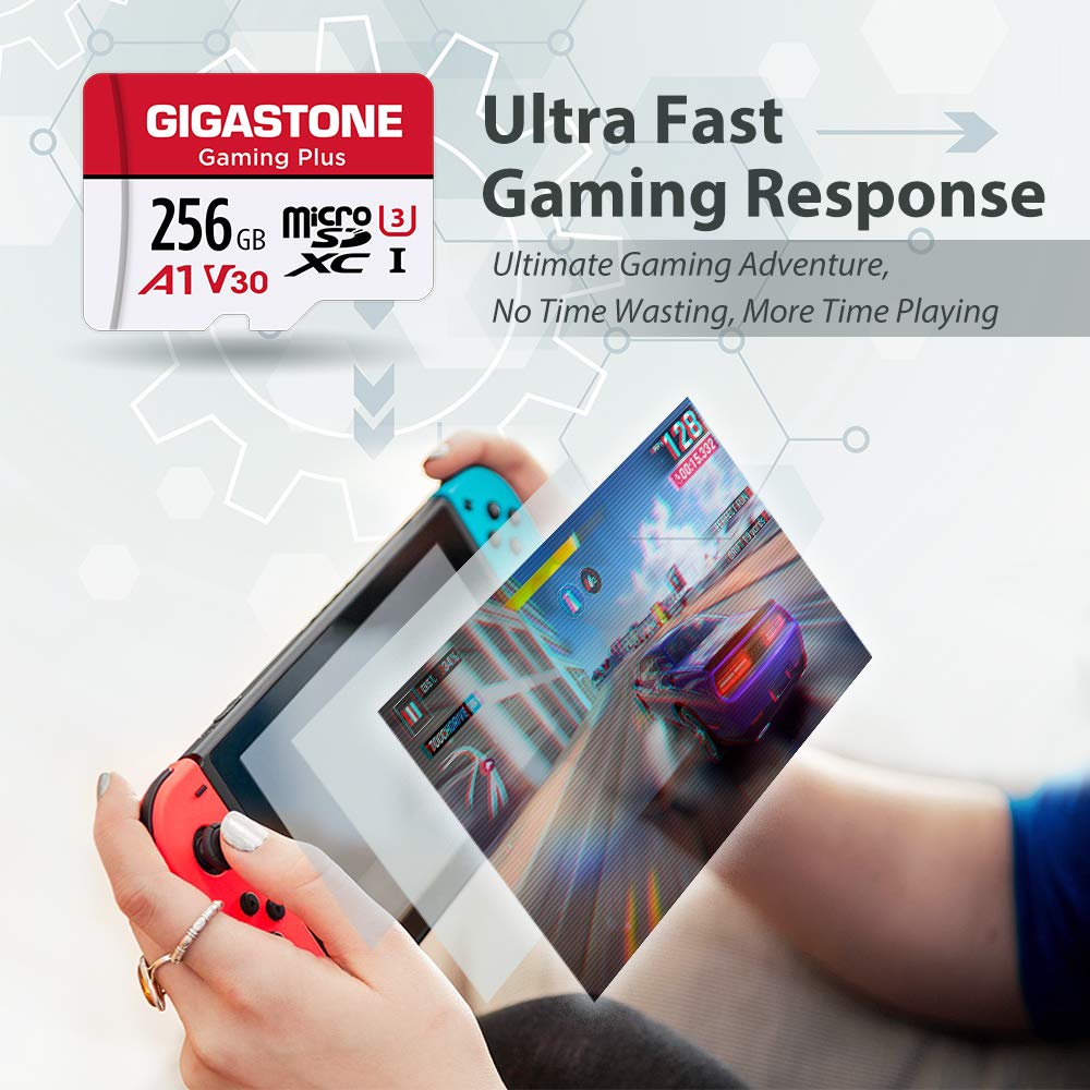 Amazon.com: 【for Switch 1 Only】 GIGASTONE 256GB Micro SD Card