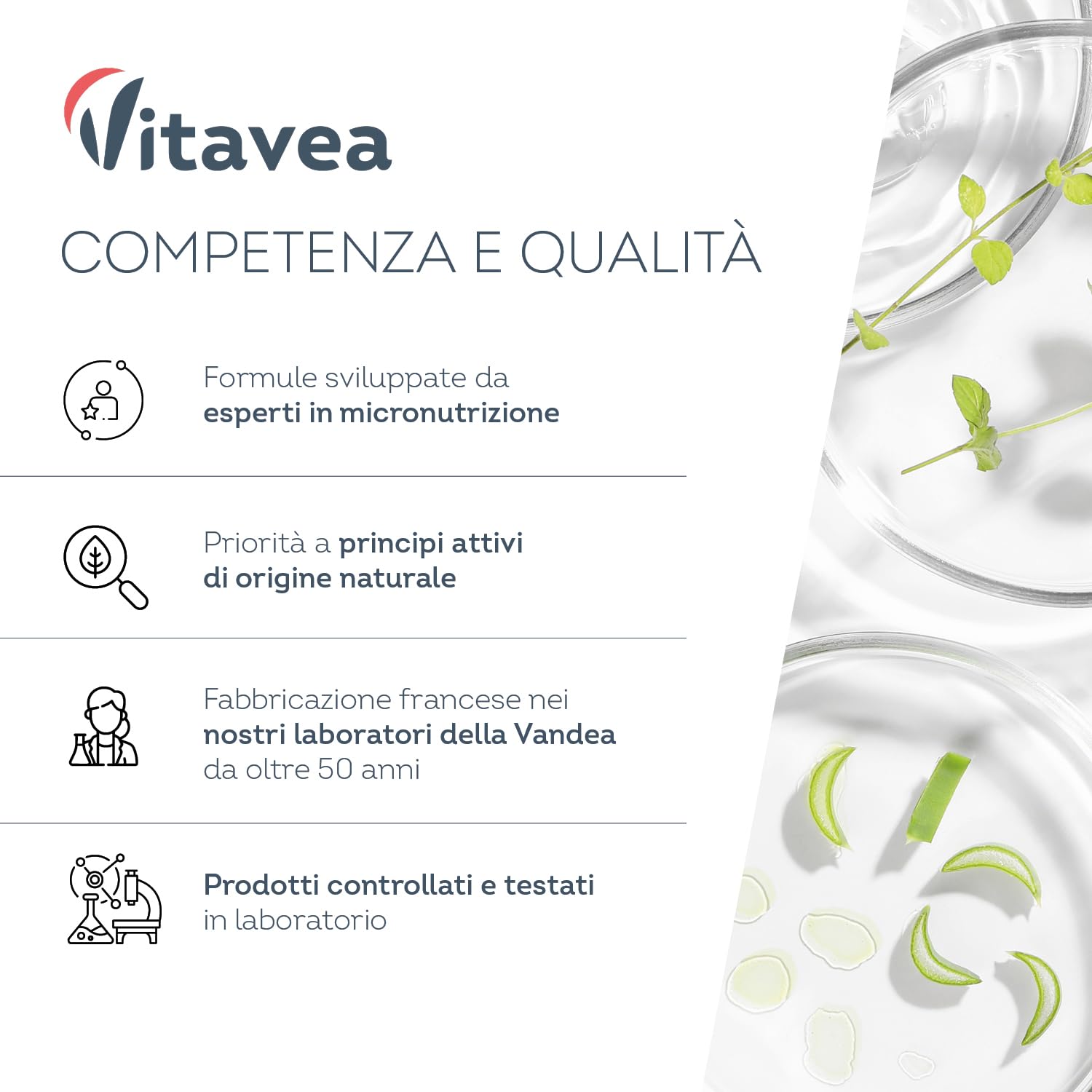Curcuma Bio 2000 mg con Zenzero e Pepe Nero- Alta concentrazione- 120 Capsule Vegane - Integratore di Curcumina Antiossidante Naturale per Articolazioni, Digestione e Fegato - Vitavea
