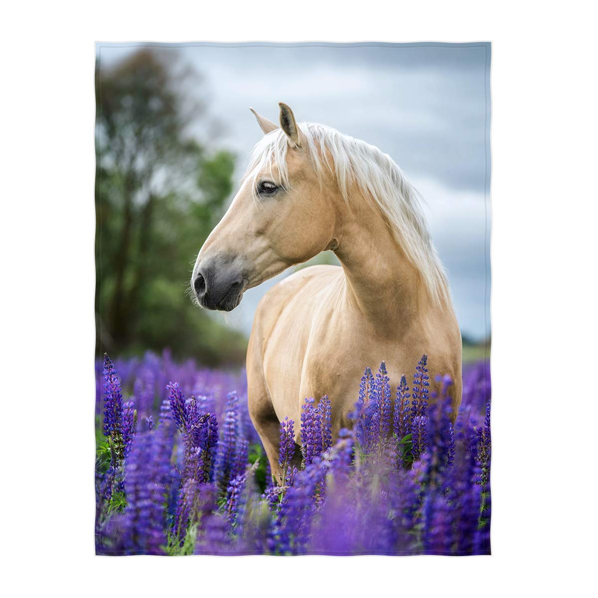 60 x 80 Inch Lavender with Horse Pattern Super Soft Throw Blanket for Bed Sofa Lightweight Blanket for All Seasons