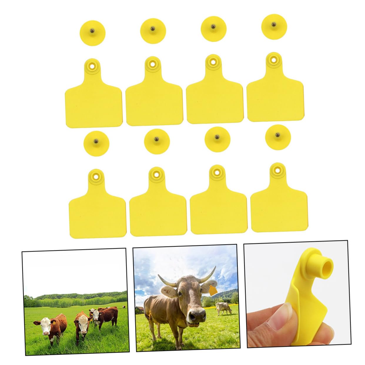 Lot De 100 étiquettes D’oreille Vierges Pour Bétail – En Plastique Jaune, Avec Boucle En Cuivre - 8