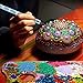 Hestya 13 Pieces Mandala Rock Dotting Tools Nail Art Painting Tools Set, Including 8 Sizes Flat Head Acrylic Dotting Rods and 5 Pieces Stylus Pens for DIY Christmas Cards Presents Boxes (Transparent)