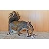 Product Photo 3