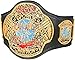 ECW WORLD HEAVYWEIGHT CHAMPION REPLICA BELT ADULT SIZE
