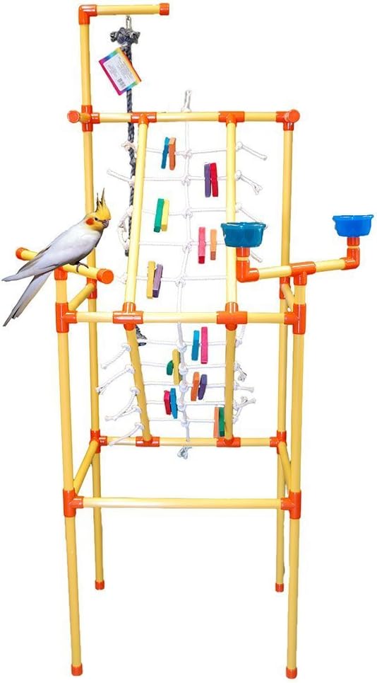 Zoo Max PLAYGYM