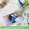 LWINGFLYER 6PCS Clip On Artificial Birds Realistic Blue Jay 5.5Inch Foam Feather Bird for Christmas Tree Ornaments Wreath Crafts Flower Arrangements Home Party Decor #3