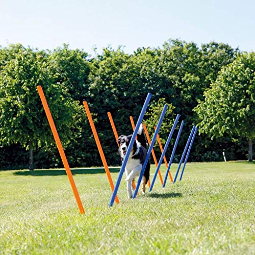 Trixie Agility Slalom Weave Poles for Dogs, with 12 Poles Included