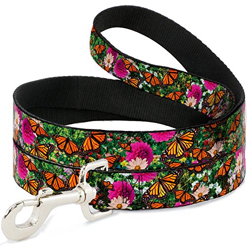 Laisse papillon monarque grand chien Buckle Down 6 pieds sangle large - 2