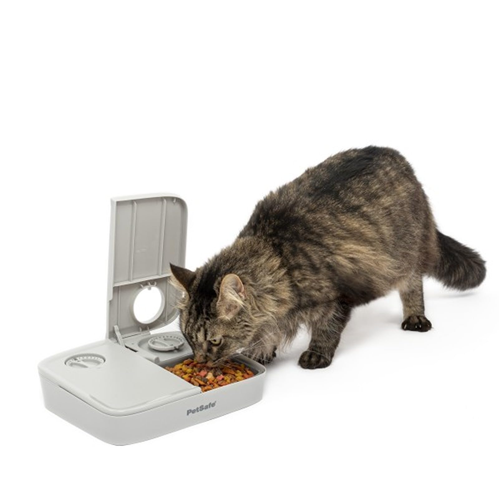PetSafe Futterautomat für 2 Mahlzeiten, Haustiersicheres Design, Für trockenes Hunde und Katzenfutter, Grau, 1 Stück (1er Pack).