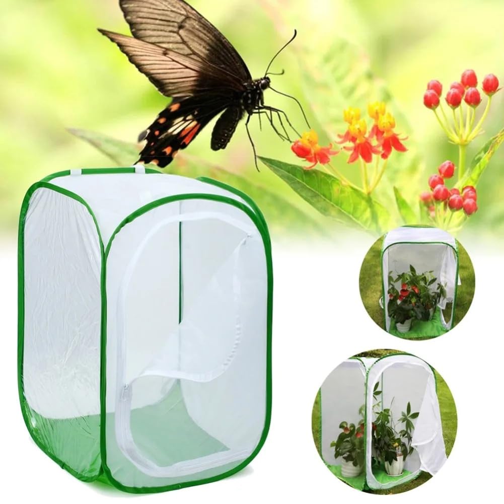 Plant Insecte Net Papillon Pet Cage Plantation lumire incubateur Pliable Cage Insectes ventil ventil Transmission Transmission de lumire Cage Zipper Plant House 60 * 60 * 90 cm