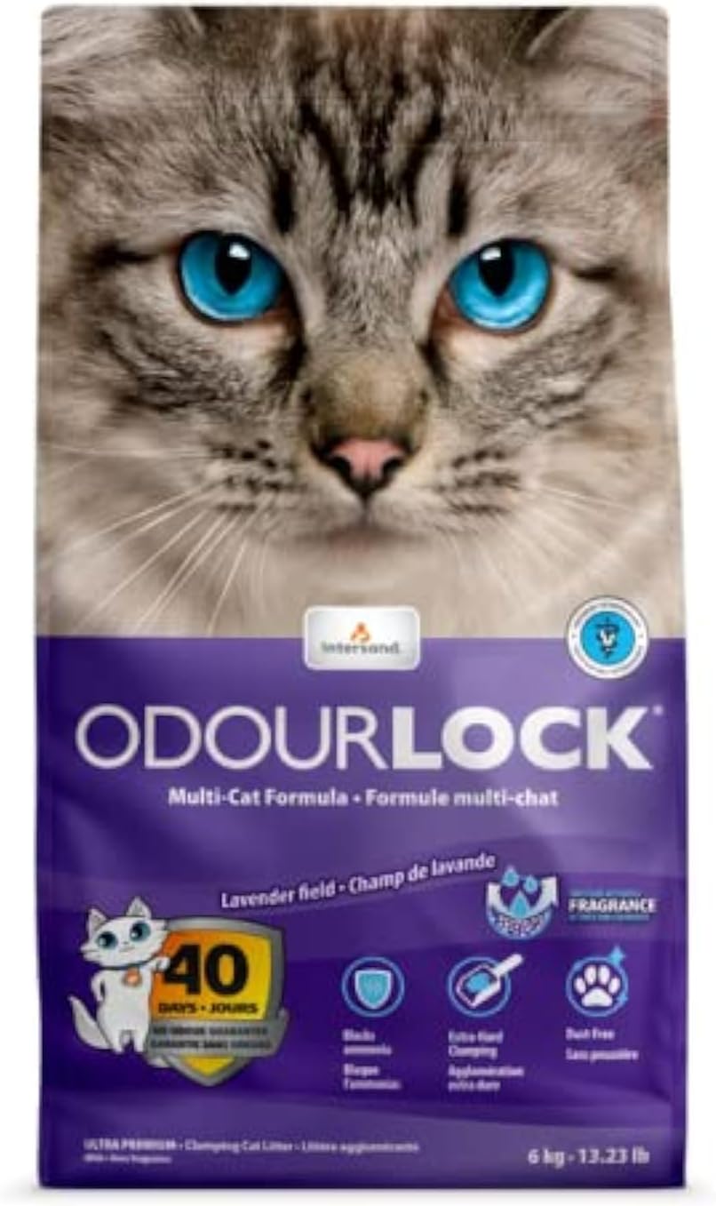 Intersand Odour Lock Lavender field, Cat Litter 6kg 6 kg