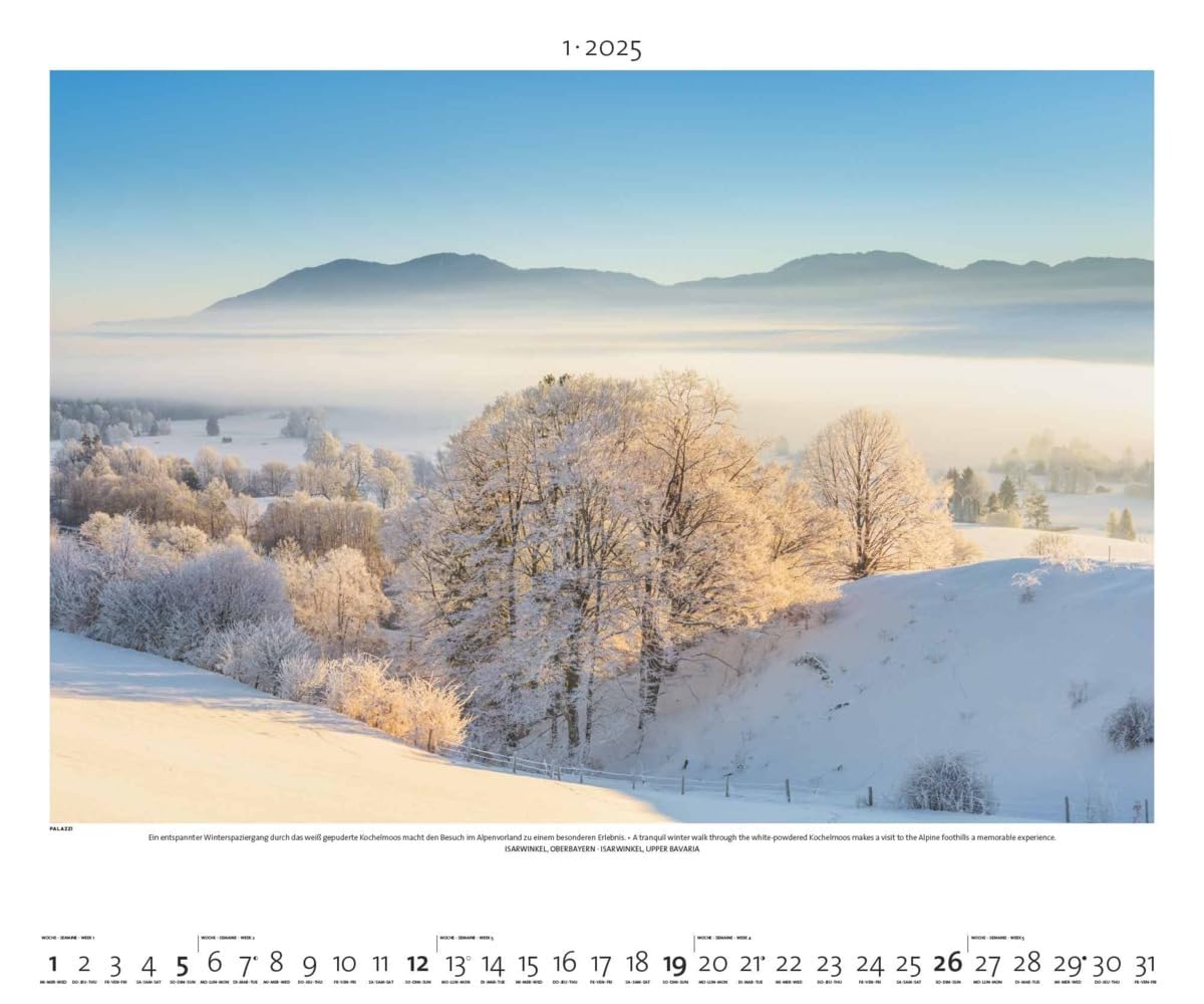 PALAZZI - Naturland Deutschland 2025 Wandkalender, 60x50cm, Posterkalender mit schönen Bildern aus Nationalsparks und Naturschutzgebieten, Felder, Wiesen und Wälder