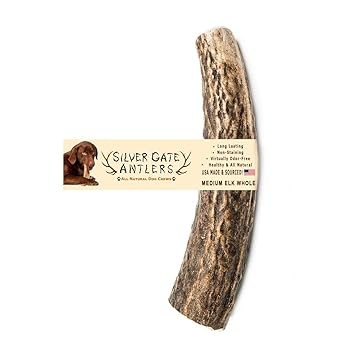 Silver Gate Antlers Elk Antlers for Dogs Naturally Shed Antler Chew, Long Lasting Treat, Grade A | Made in Nature, Medium 4-5