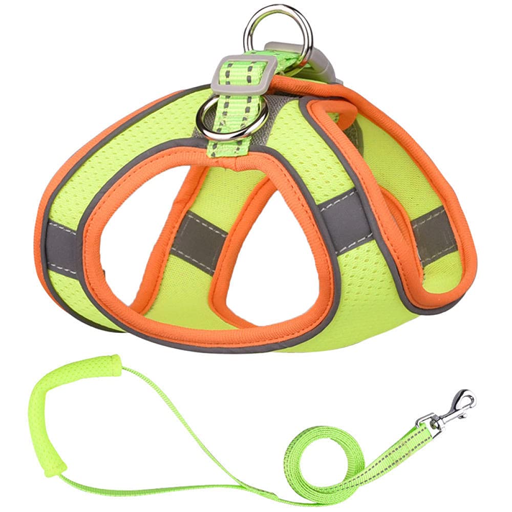 arnés para Perros, Conjunto de Correa, arnés Malla for Cachorros, Acolchada Suave for Perros pequeños, Gatos, Chaleco, Accesorios for DS(C,XL)