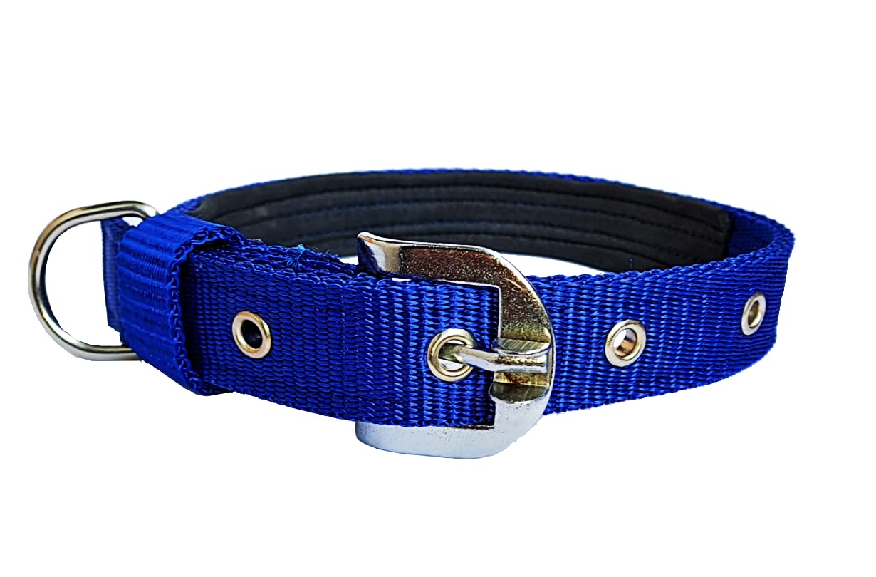 Petley Pure Nylon Pin-Buckle Dog Collar with Ultra-Soft Comfortable Padding Inside, Suitable for Large Dogs German Shephard, Boxer, Golden Retriever, Labrador Retriever, Rottweiler, Dalmatian, Doberman_Free Calcium Dog Chewable Bone (B08C7Y1882) Amazon Price History, Amazon Price Tracker