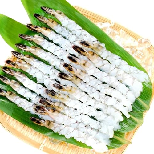 L΂CV 8/12TCY 20i10×2PCj ubN^CK[ vp Ɩp TCY tC GrV Gr  Hi Ⓚ