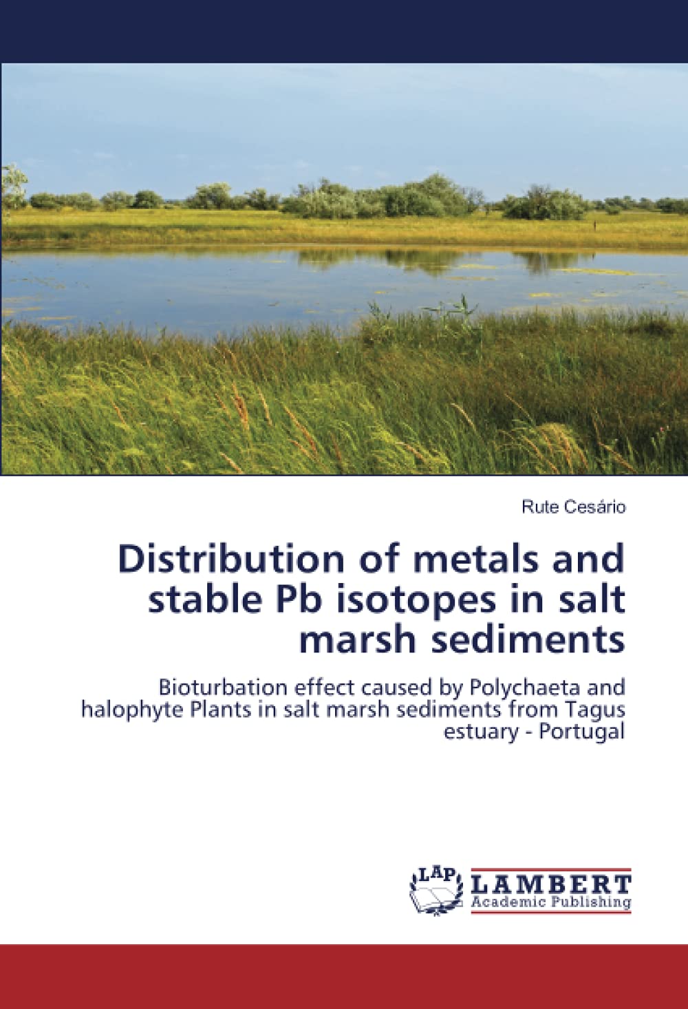 Distribution of metals and stable Pb isotopes in salt marsh sediments: Bioturbation effect caused by Polychaeta and halophyte Plants in salt marsh sediments from Tagus estuary - Portugal