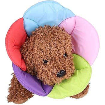 Pssopp Schutzkragen Halskrause Pet Recovery Halsband Bunte Blume Formigen Schutz Hundehalsband Weiche Katze Recovery Collar Pet Anti Biss Kragen Fur Wundheilung Schutz S Amazon De Haustier