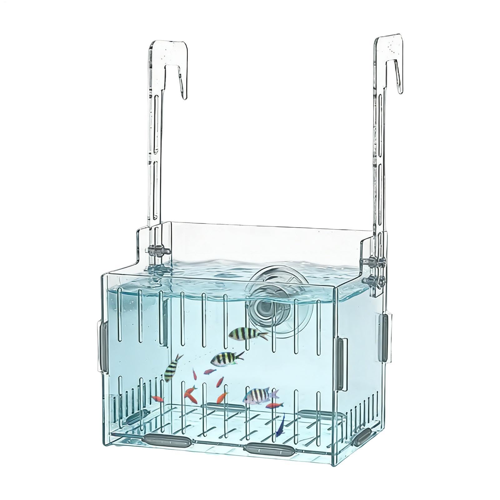 Soporte para plantas de acuario – colgante hidropónico acrílico, macetero de tanque con doble gancho ajustable | Exhibición de plantas flotantes transparentes para decoración de vid de musgo a