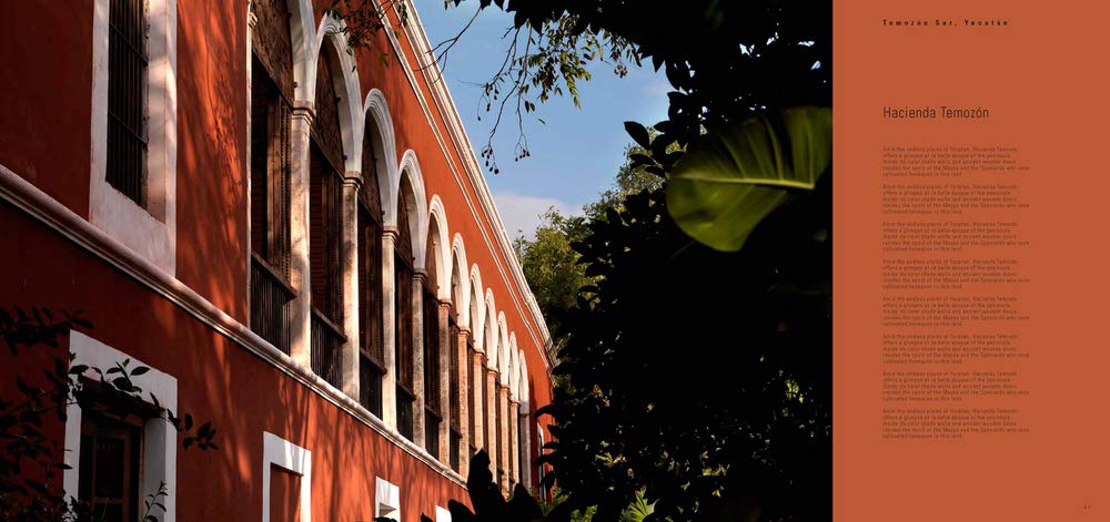 Casa Mexicana (Contemporary Architecture & Interiors)