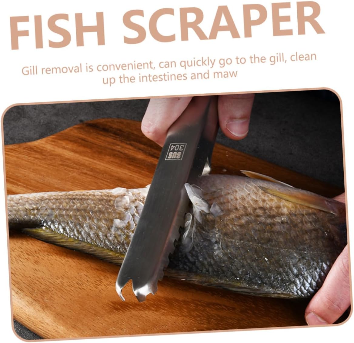 OUNONA 2pcs Stainless Steel Fish Scale Scrapper Easy to Remove Fish Scales Kitchen Scaler Tool for Chef