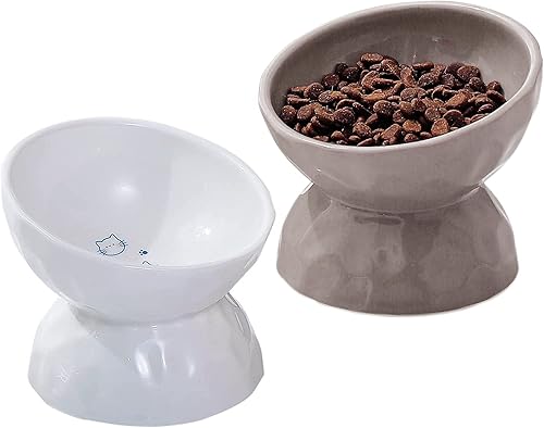 OMAYKEY Cuencos elevados de cerámica para gatos, juego de cuencos elevados inclinados para comida y agua, plato de porcelana libre de estrés para