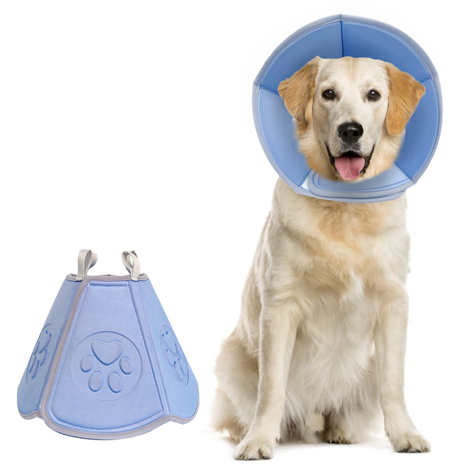 How Long Does My Dog Need To Wear A Cone After Castration at Cindy