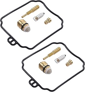 Conjunto de reconstrução de carburador, kit de reparo de reconstrução de carburador resistente antienvelhecimento para motocicletas