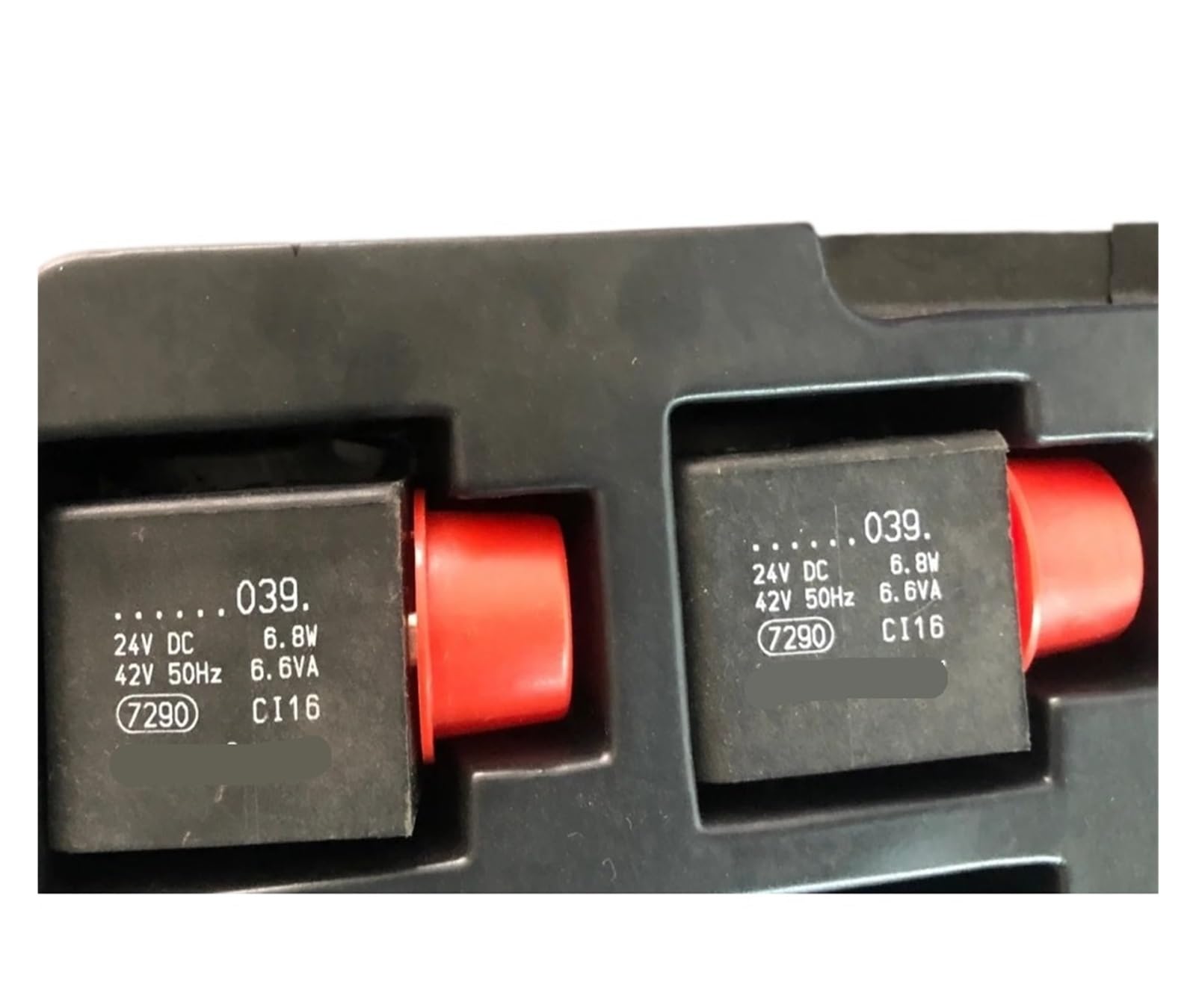 Ylpwkmvz One Color 1Pcs Solenoid Valve Coil C116 Dc24v 6.8W 1824210039