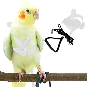 Pet Parrot Bird Harness and Leash, Adjustable Training Design Anti-Bite, Bird Nylon Rope with Cute Wing for Parrots, Suitable for Alexandrine, Scarlet, Keck, Mini Macaw Same Size Birds White