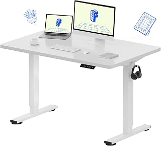 FLEXISPOT EN1 48-Inch Electric Standing Desk, 30-Inch Deep One-Piece White Desktop, 4 Memory Presets
