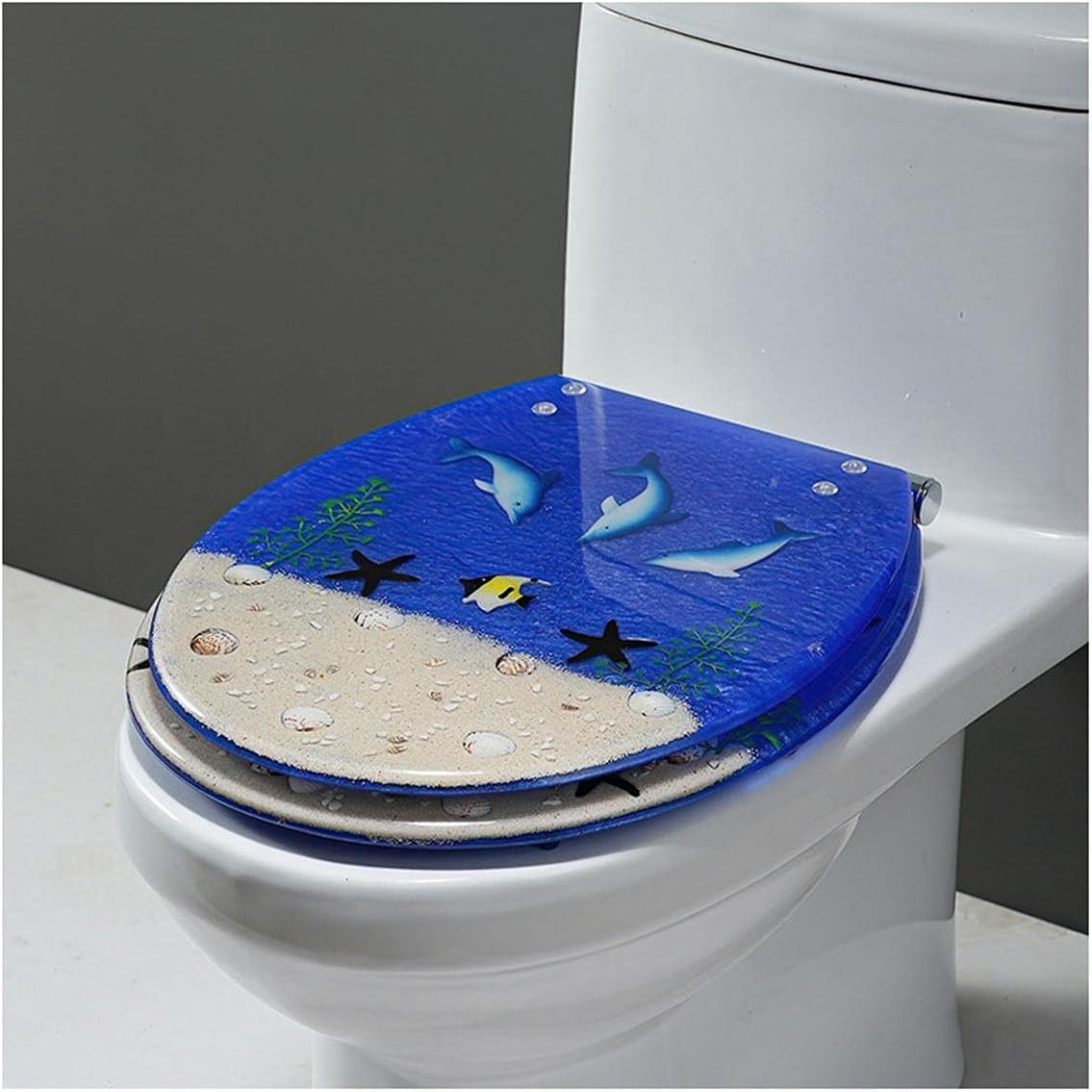 Transparent Resin Toilet Seat, Progressively Lowering