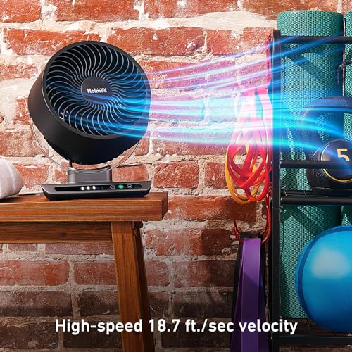 image for HOLMES Blizzard 8