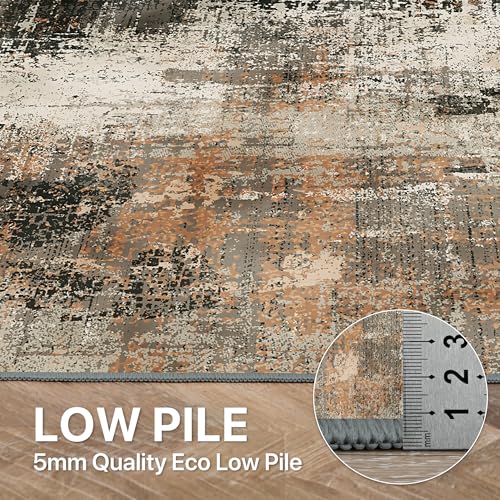 Tapis Salon 160x230 Antidérapant Lavable BEIMO