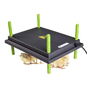 Chick Brooder Heat Plate for Chicks 10