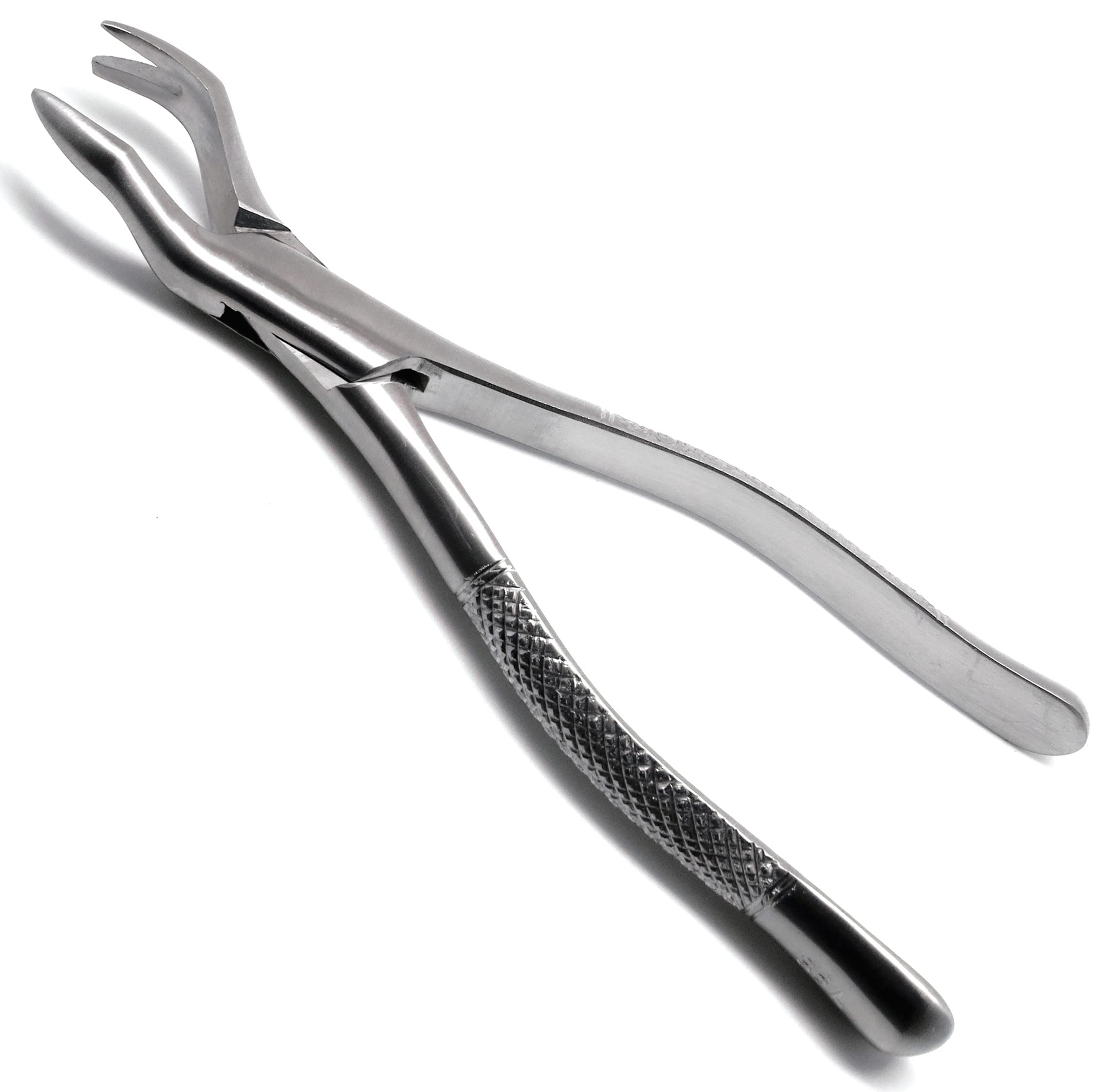 3× Dental Forcep 88L Molar Tooth Extracting Surgical Stainless Steel Instruments