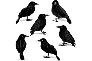Spooky 6-Pack Halloween Crows & Ravens for Bewitching Decor