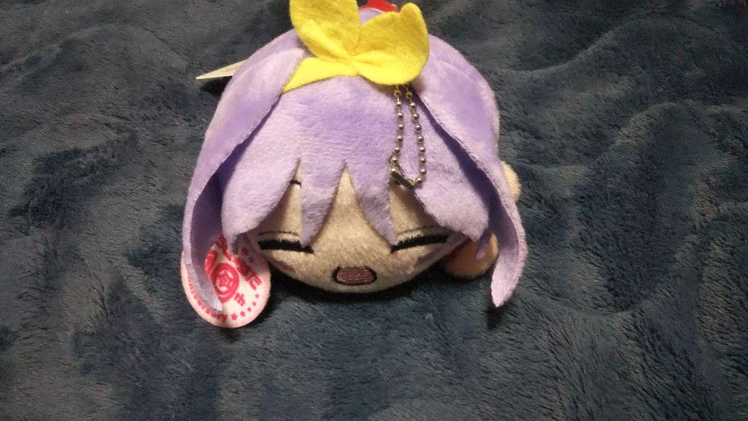 らき☆すた　寝そべりぬいぐるみ　10周年記念　柊つかさ　マスコット Amazon.co.jp: らきすた 寝そべり 10周年記念 マスコット 柊つかさ