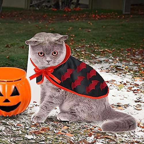 Fantasias de Halloween para gatos | Fantasia de gatinho para gatos | Roupas para cães Manto em forma