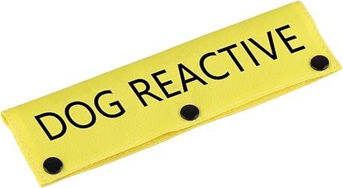 Divertida funda para correa para perro, correa reactiva para perro, alerta, parche de identificación colgante, regalo de cumpleaños para mascotas