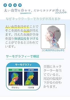 ネッククーラーmini サンコー 楽天市場】サンコー ネッククーラーmini ミニ 小型 軽量 熱中症