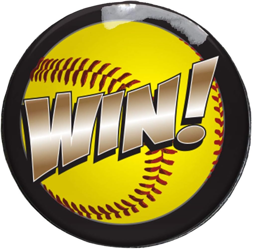 Pro-Tuff Softball Award Decals Softball Award Stickers in Full Color 100 Softball Awards