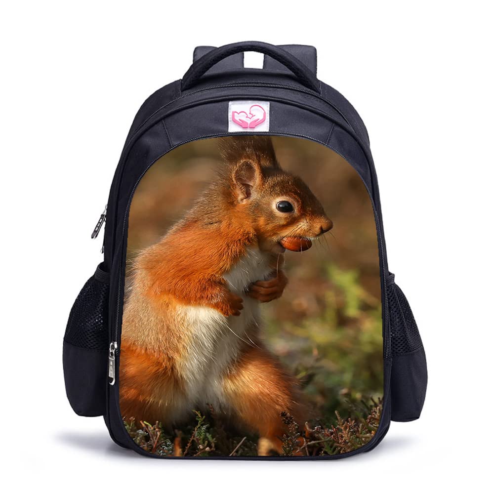 Mochila de moda casual de 16 pulgadas con diseño de ardilla 3D para ordenador y viaje 8